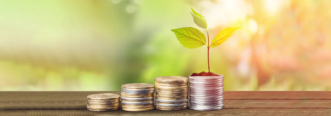 Tiger Global leads another round of funding within five months